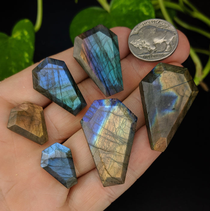 Labradorite Coffin Sets