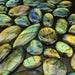 Labradorite Cabochons, Assorted Shapes