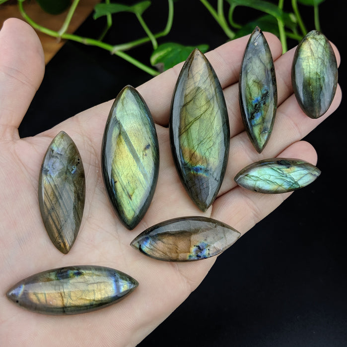 Labradorite Marquis Cabochons