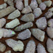 Spirit/Cactus Quartz Points with Aura