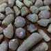 Spirit/Cactus Quartz Points with Aura