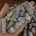 Spirit/Cactus Quartz Points with Aura