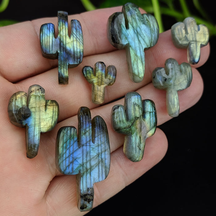 Labradorite Cactus Cabochons ~ Second Quality