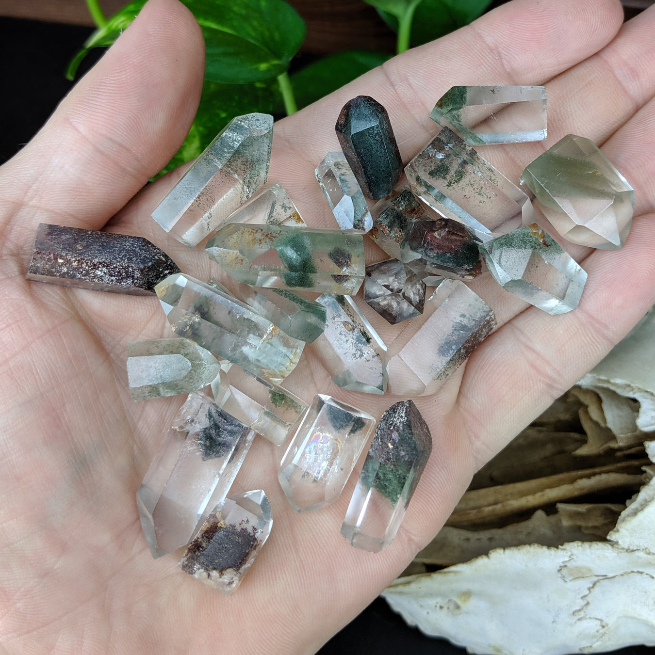Shop Crystals