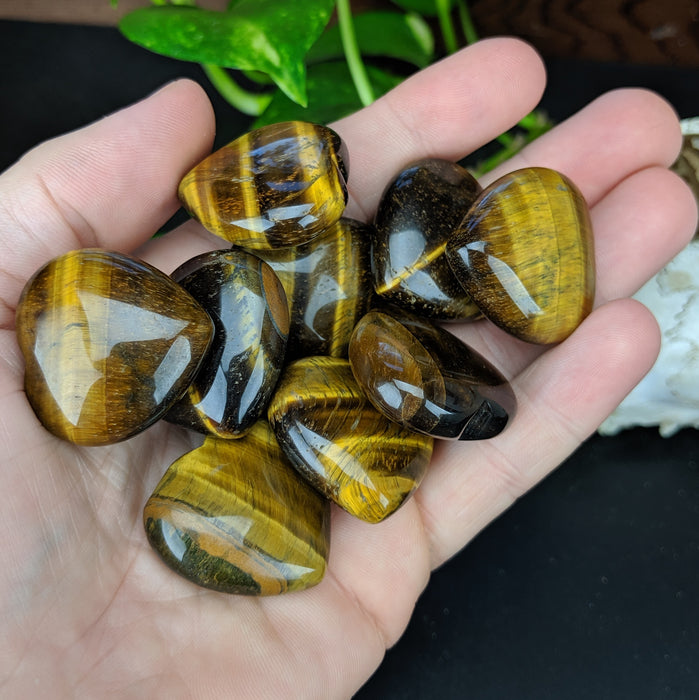 Tigers Eye Hearts