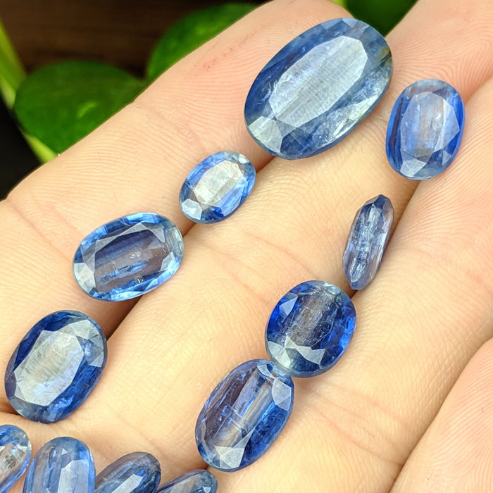 Blue Kyanite Facets