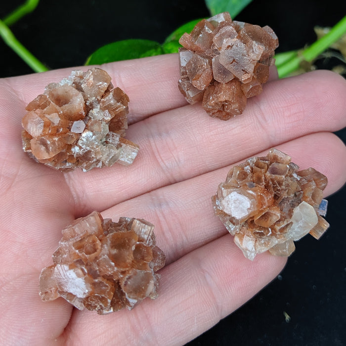 Aragonite Clusters, Small