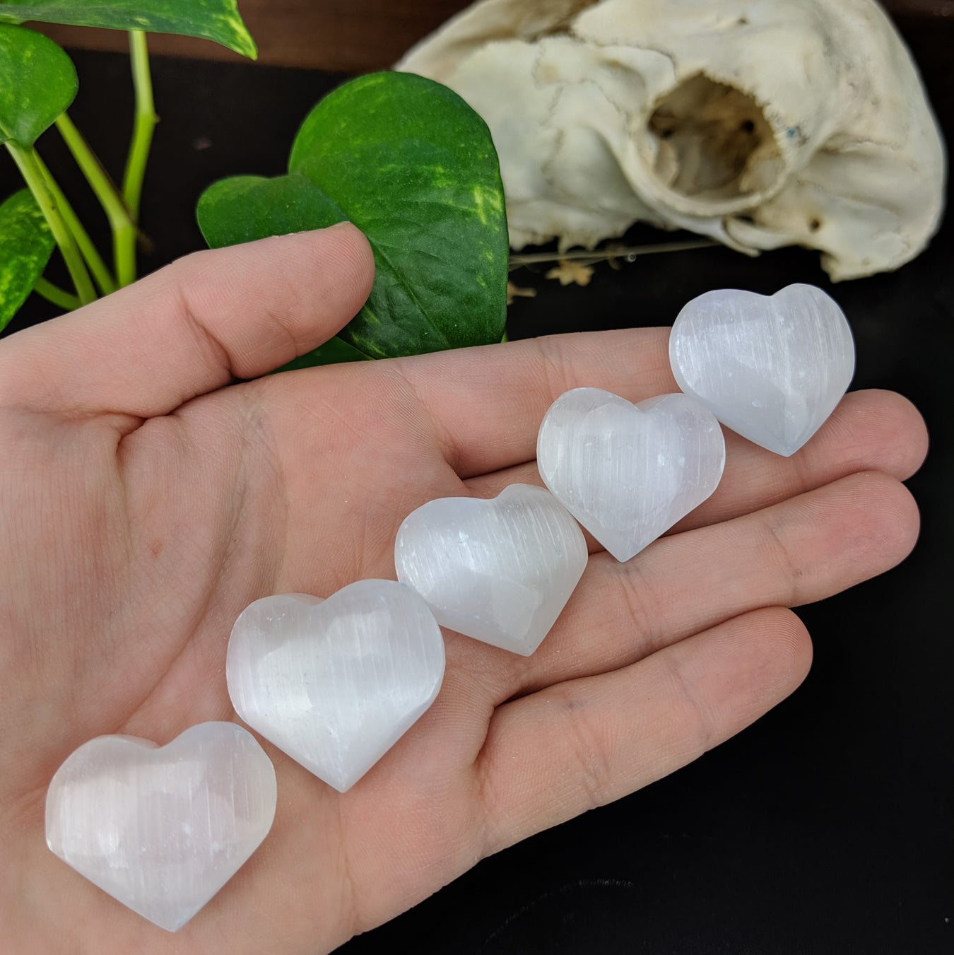 Shop Clearance Section