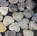 Fossil Coral Hearts