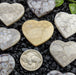 Fossil Coral Hearts