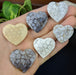 Fossil Coral Hearts