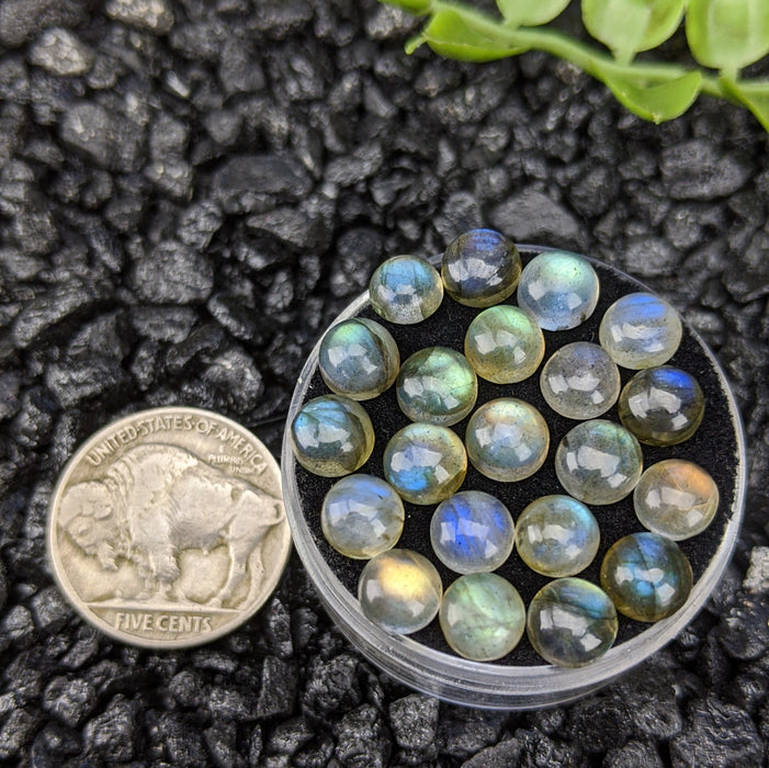 Labradorite Round Cabochons, 6mm