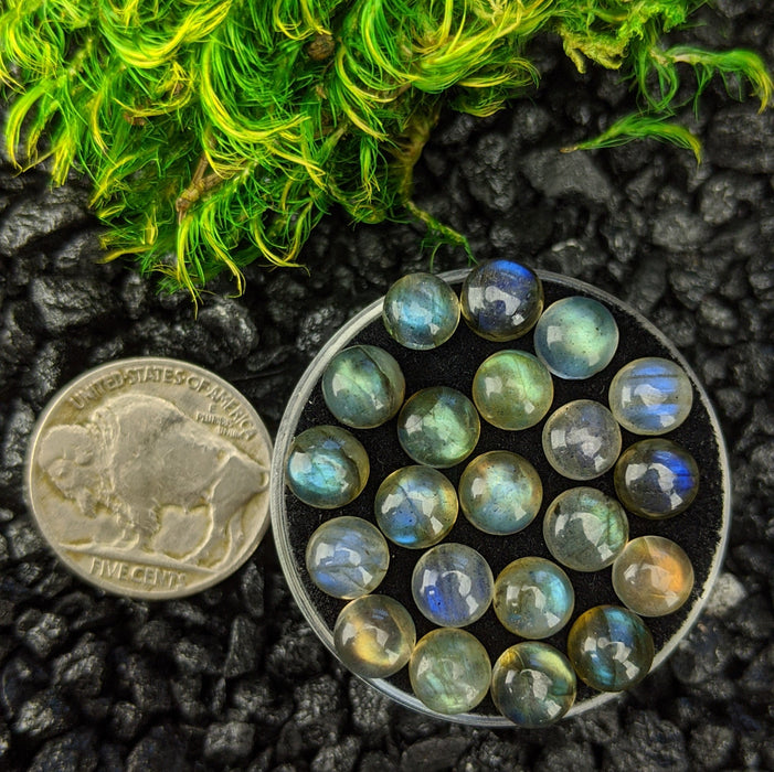 Labradorite Round Cabochons, 6mm