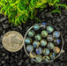 Labradorite Round Cabochons, 6mm