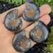 Black Sliced Ammonite Fossil 2 piece sets