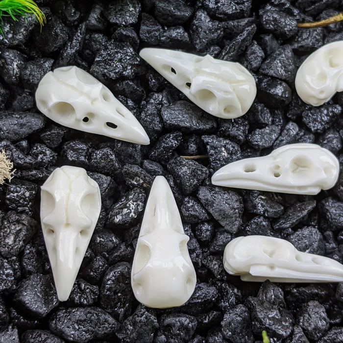 Raven Skull Cow Bone Carving, Hand Carved, Small