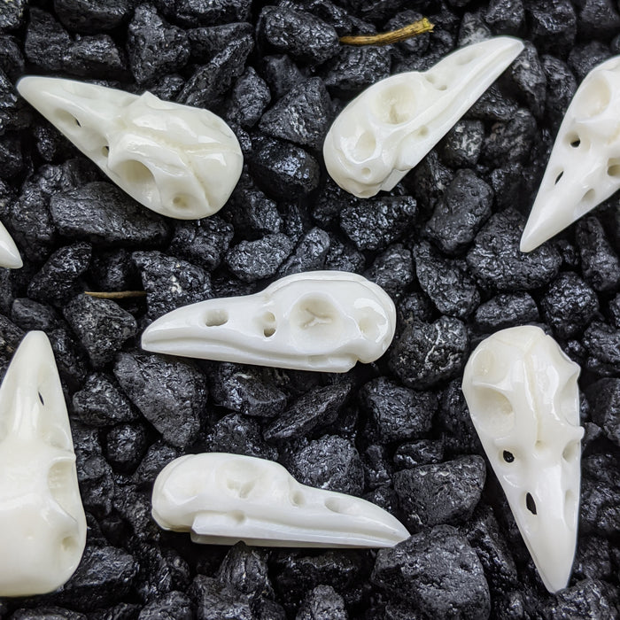 Raven Skull Bone Carving, small; drilled