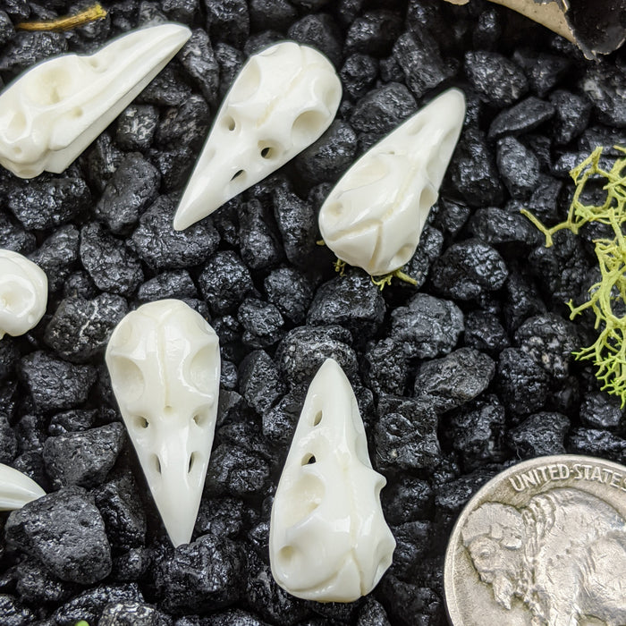 Raven Skull Bone Carving, small; drilled