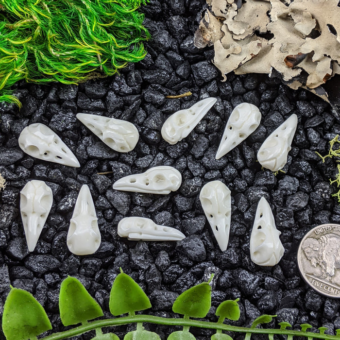 Raven Skull Bone Carving, small; drilled