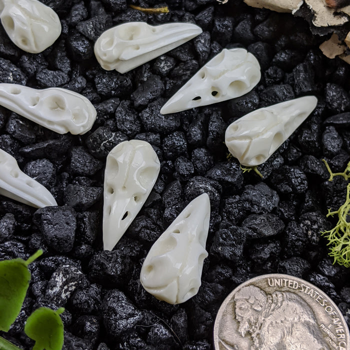 Raven Skull Bone Carving, small; drilled