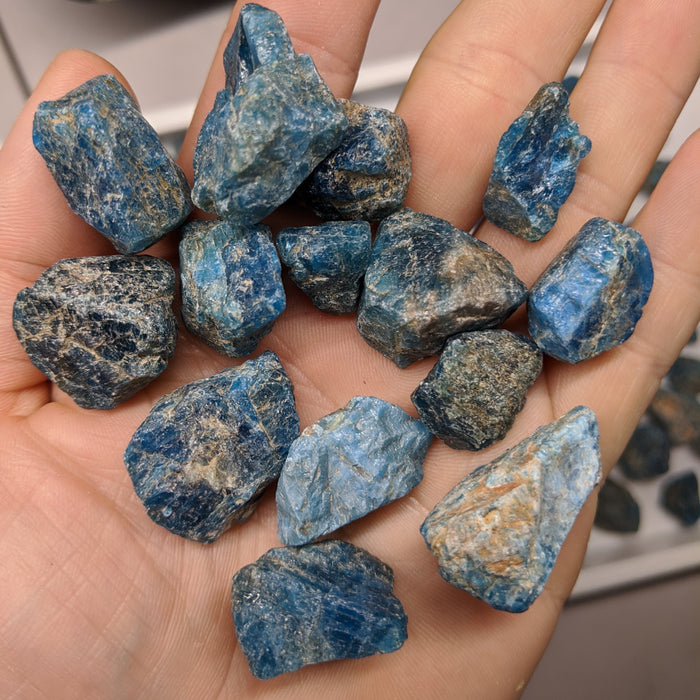 Blue Apatite Crystals Raw Pieces