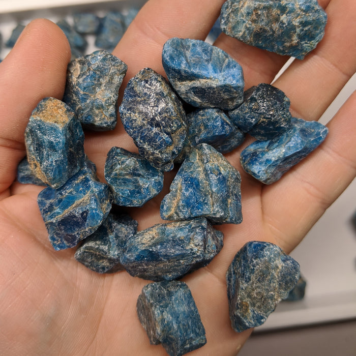 Blue Apatite Crystals Raw Pieces