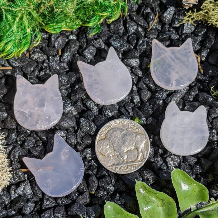 Mini Brazilian Rose Quartz Cat Heads