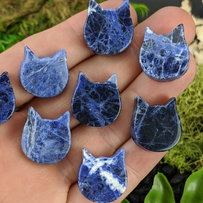 Mini Brazilian Sodalite Cat Heads