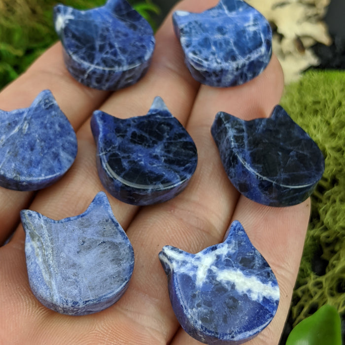 Mini Brazilian Sodalite Cat Heads