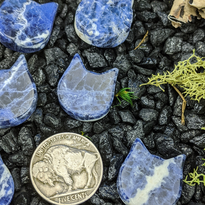 Mini Brazilian Sodalite Cat Heads