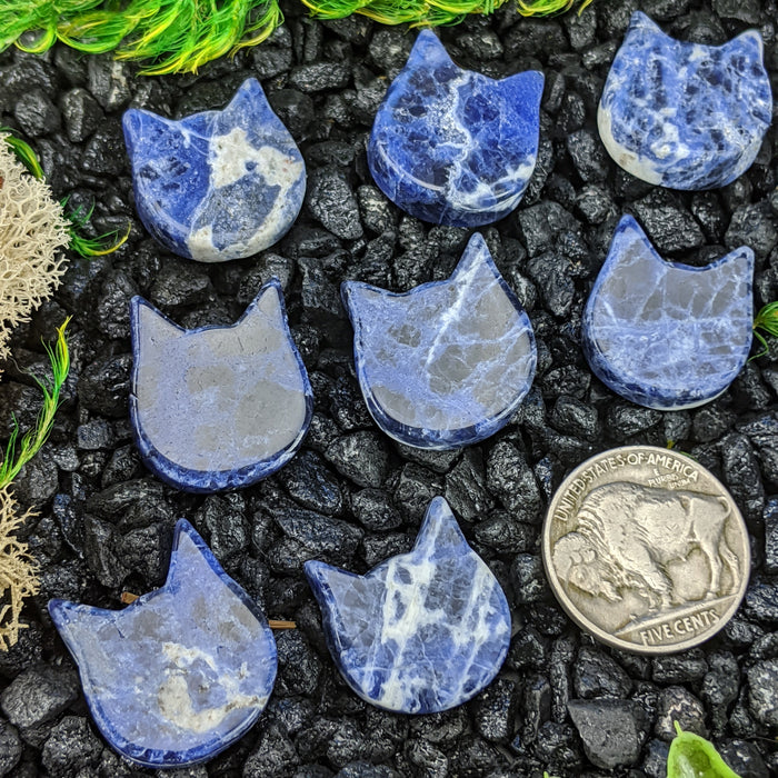 Mini Brazilian Sodalite Cat Heads