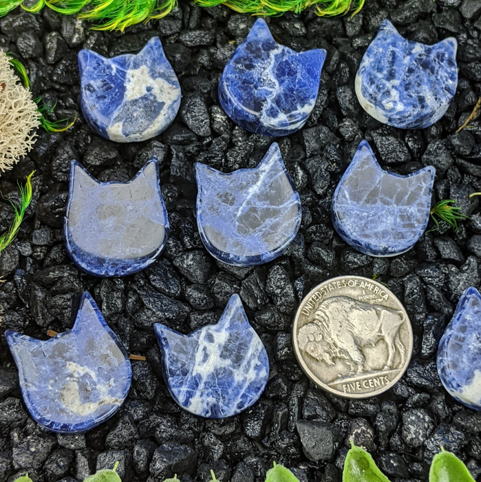 Mini Brazilian Sodalite Cat Heads