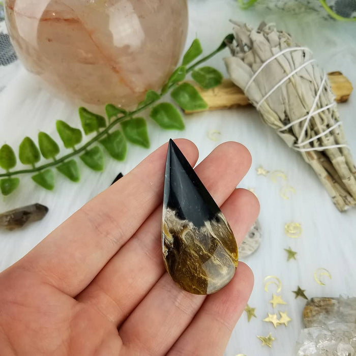 Fossil Palm Root Teardrops