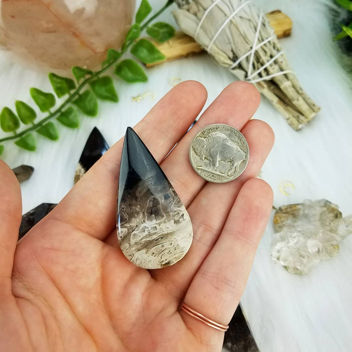 Fossil Palm Root Teardrops