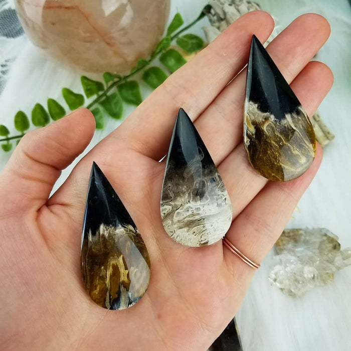 Fossil Palm Root Teardrops