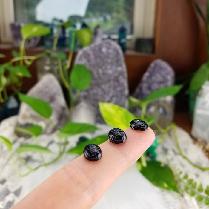 Scarab Carved Onyx Cabochons, 8x10mm