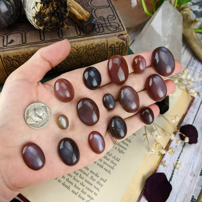 Chocolate Moonstone Cabochons