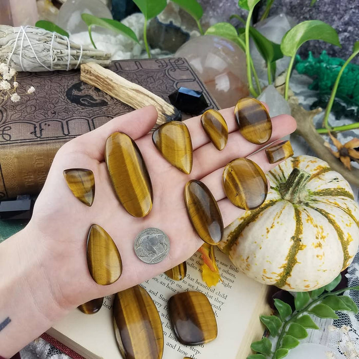 Tiger's Eye Cabochons