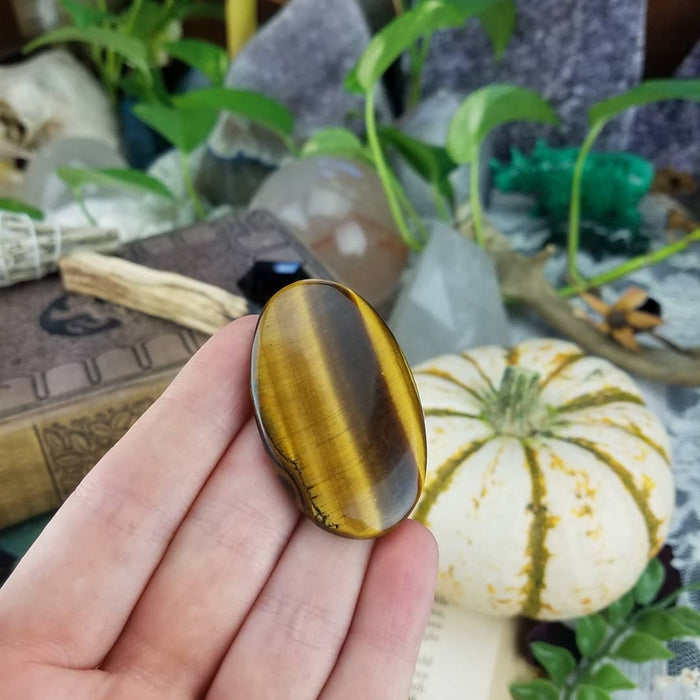 Tiger's Eye Cabochons