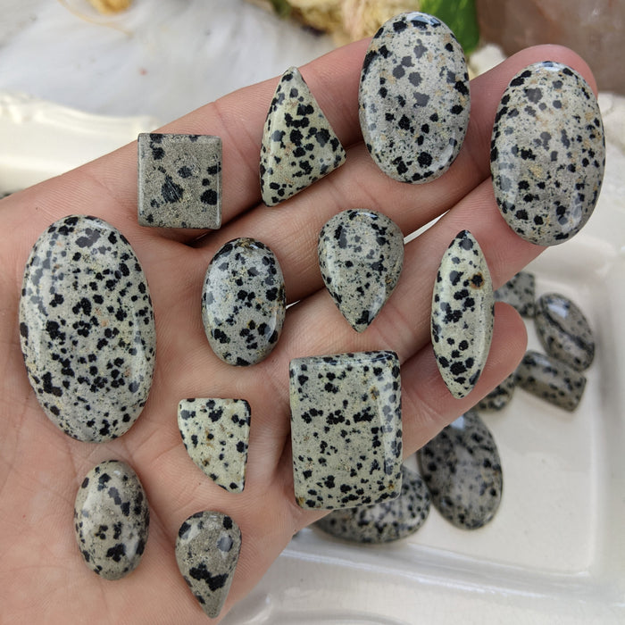 Dalmatian Jasper Cabochons