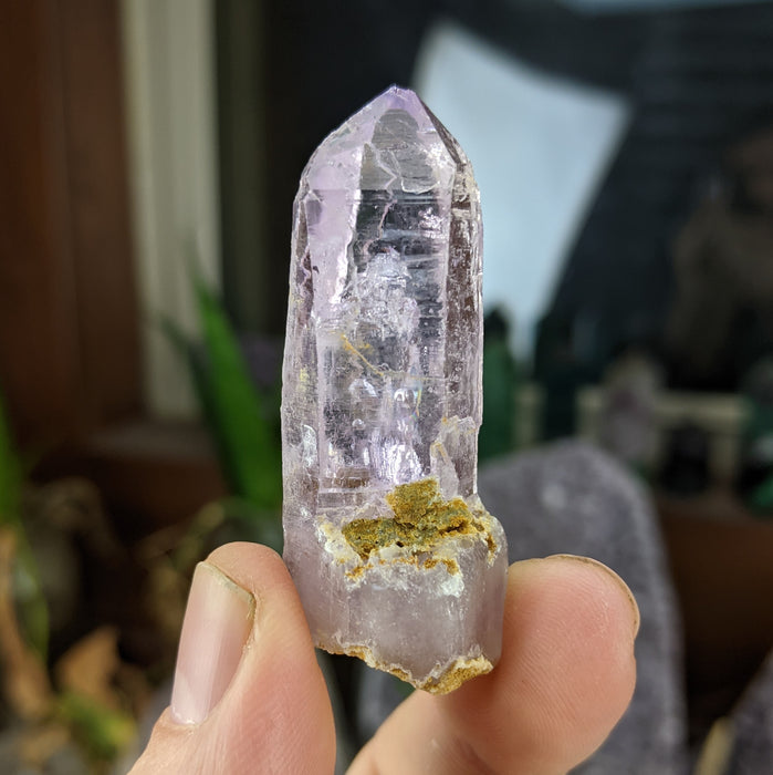 Vera Cruz Amethyst Large Points