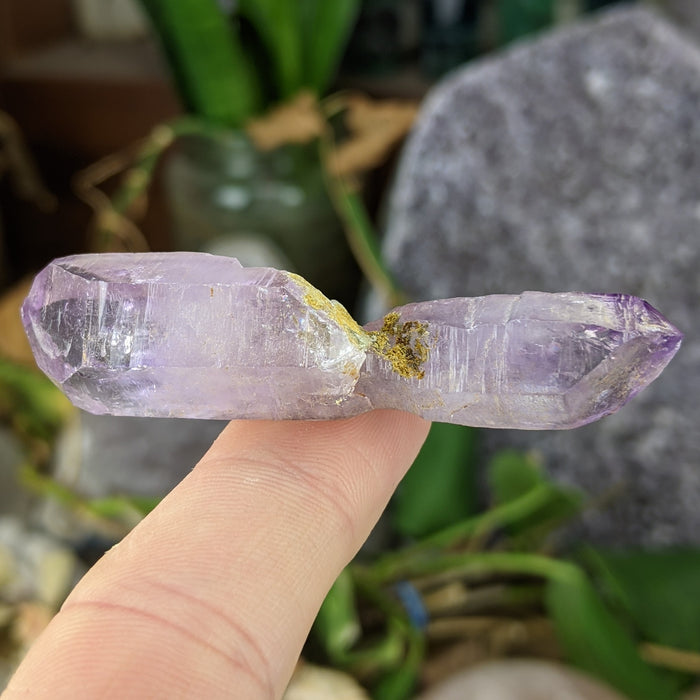 Vera Cruz Amethyst Large Points