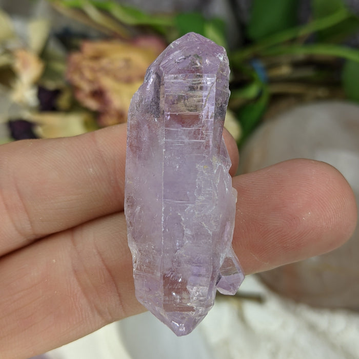 Vera Cruz Amethyst Large Points