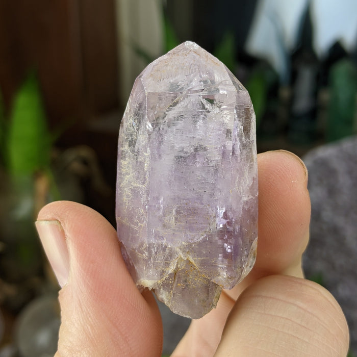 Vera Cruz Amethyst Large Points