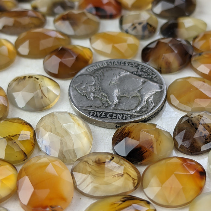 Montana Agate Rose Cut Cabochons