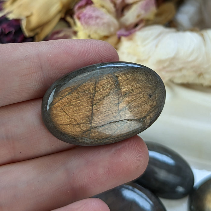 Labradorite Oval Cabochons, Orange