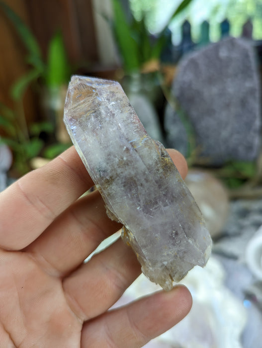 Vera Cruz Amethyst Large Points