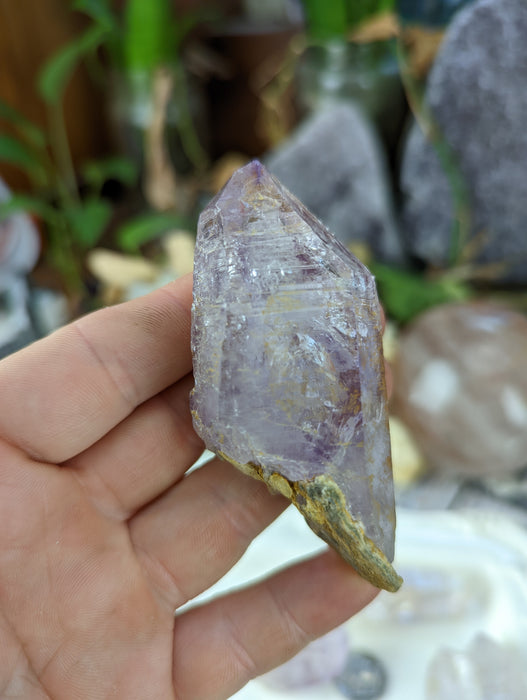 Vera Cruz Amethyst Large Points