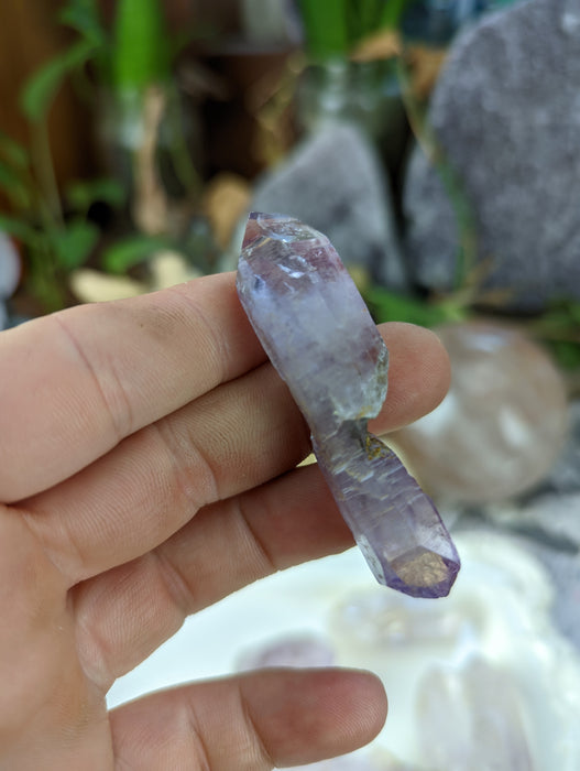 Vera Cruz Amethyst Large Points