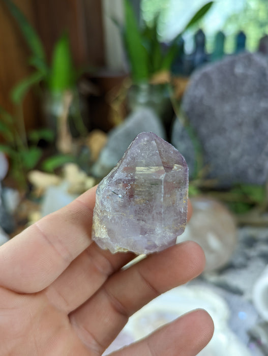 Vera Cruz Amethyst Large Points